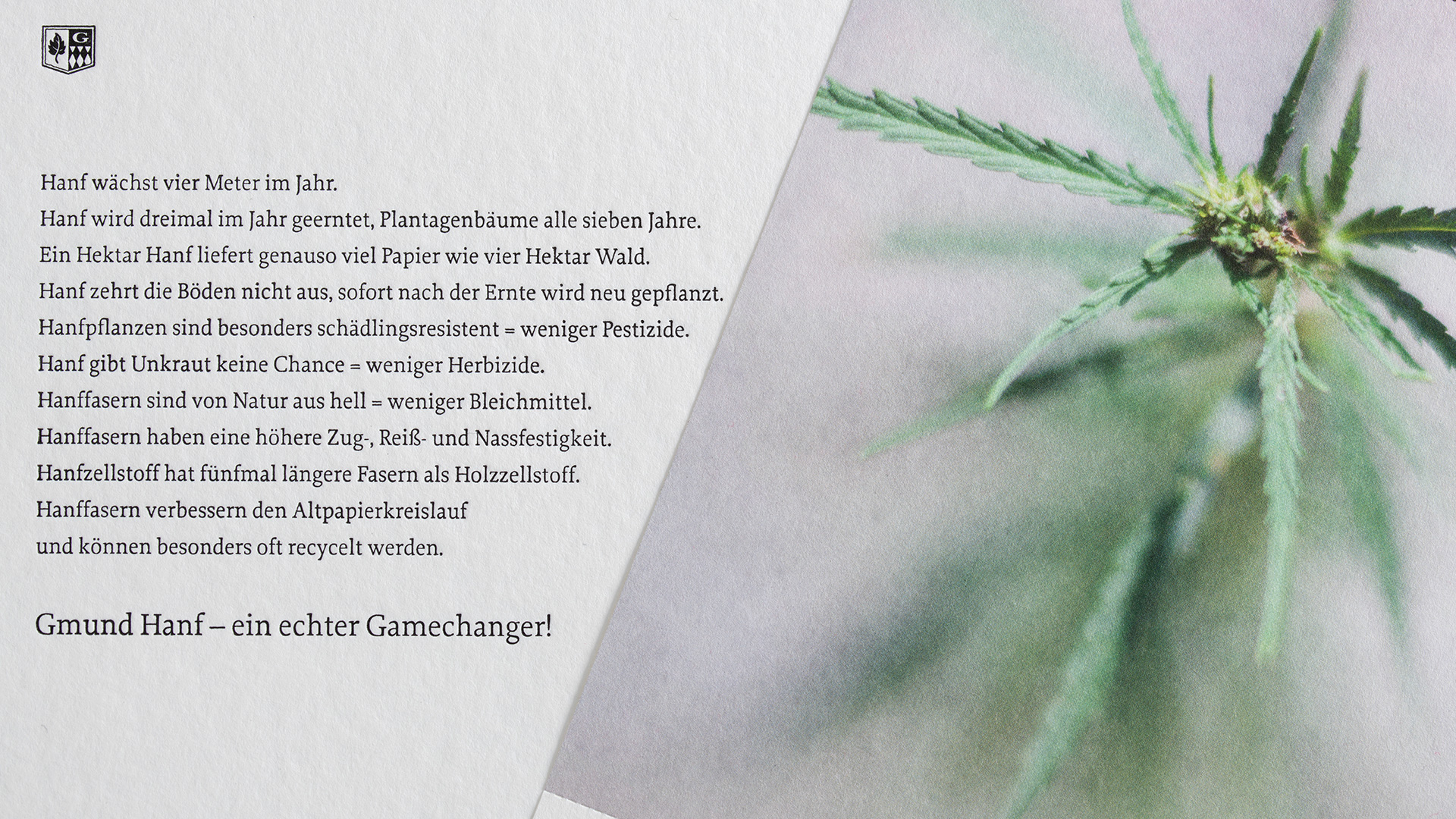 Two printed samples with Gmund Hanf