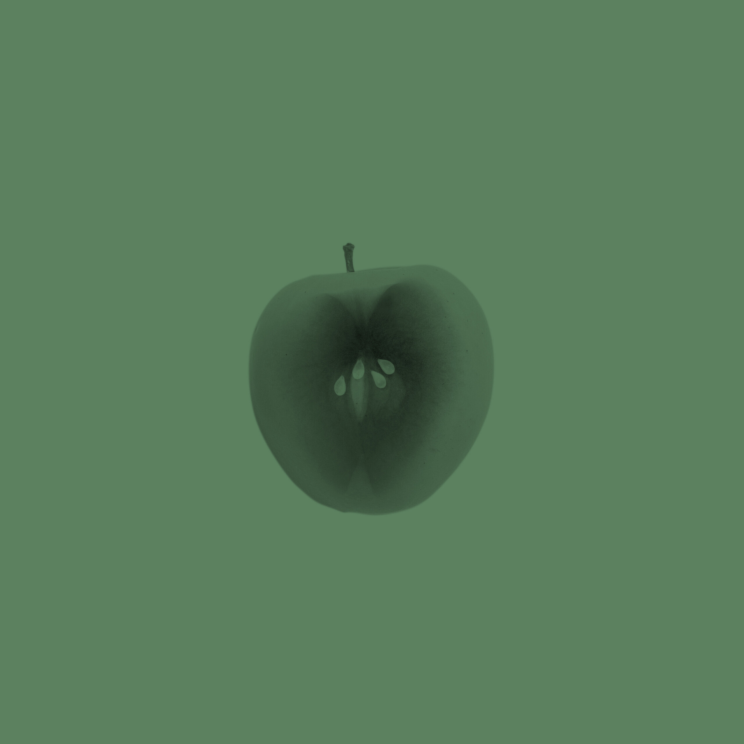 Apple on a green background