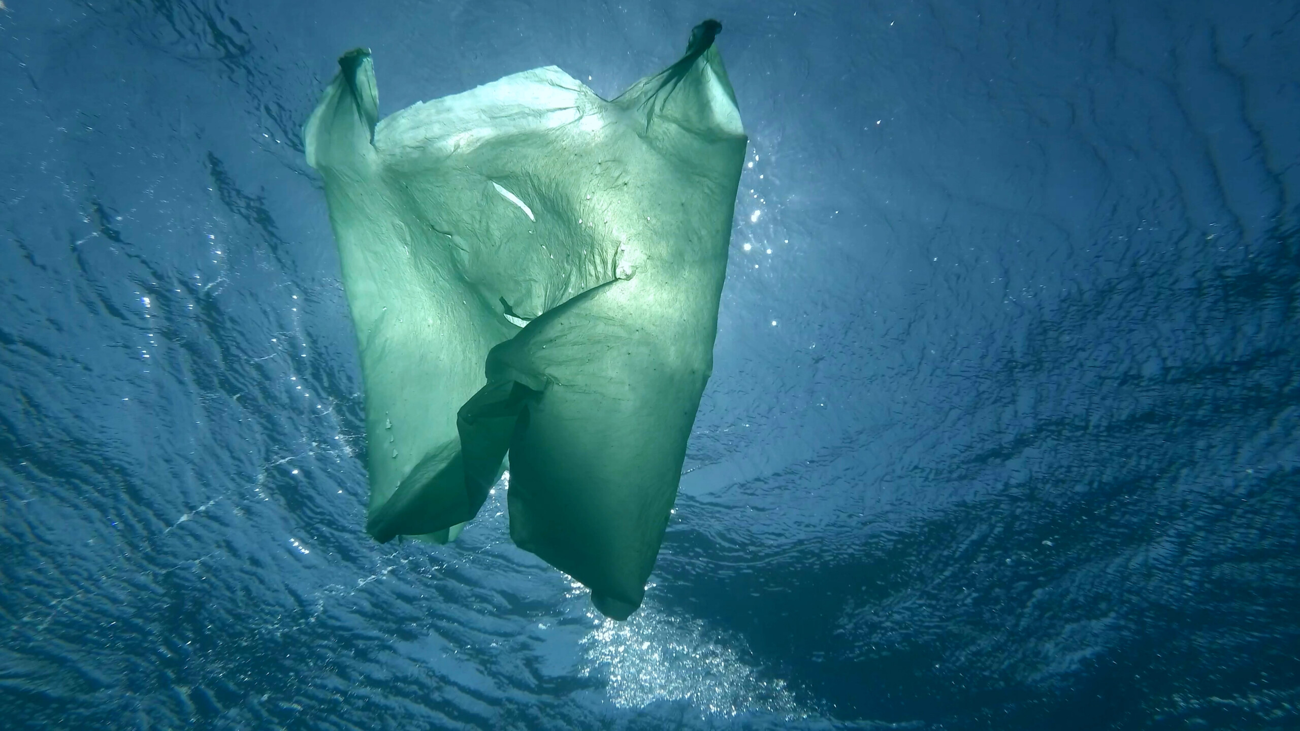 Plastic bag in the ocean