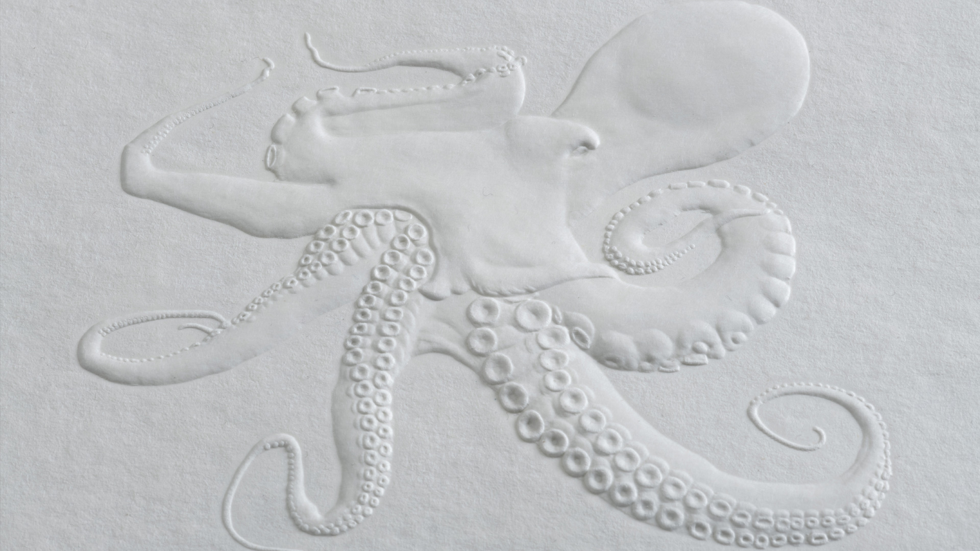 Krake im farblosen Buchdruck. Gedruckt auf nachhaltigem weißen Hanf Papier