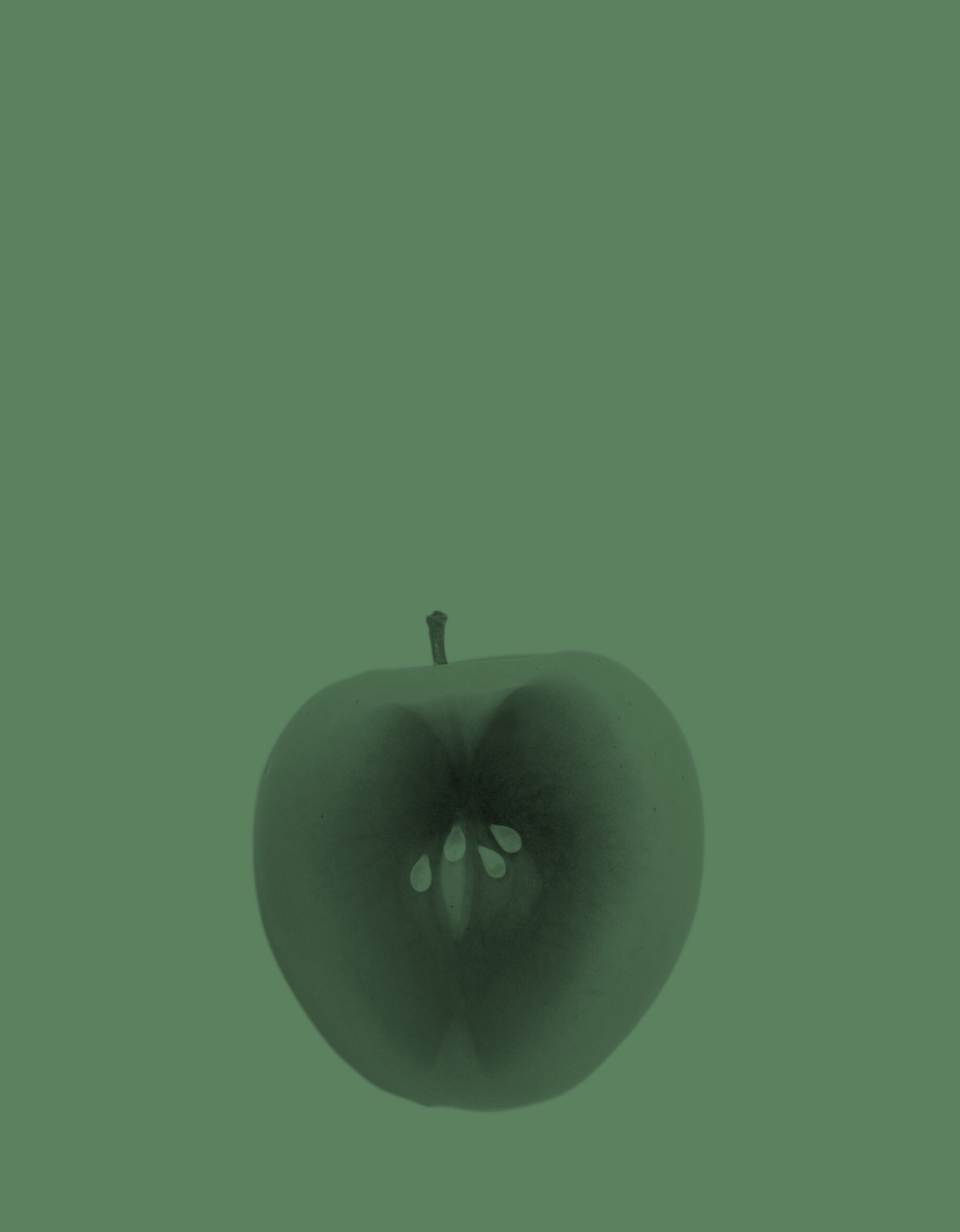 Querschnitt eines Apfels auf grünem Hintergrund