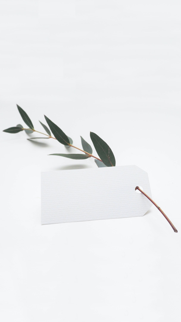 Weißes Hangtag aus Papier an einem Eukalyptuszweig